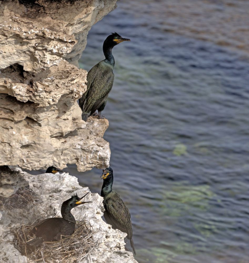 Photograph by Евгений Самулев