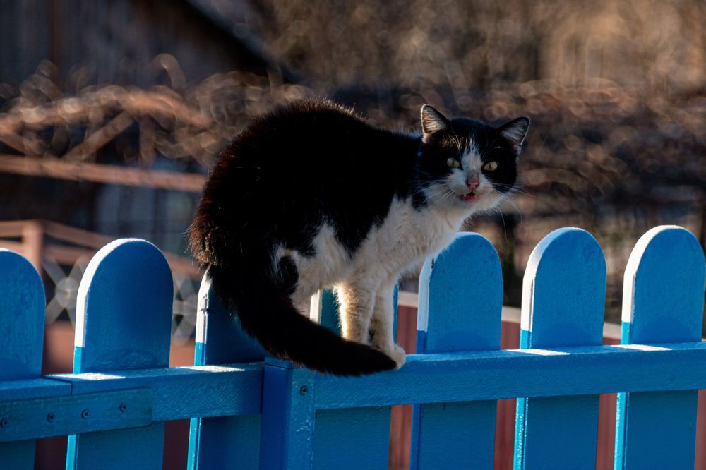 Photograph by Алена Евгеньевна