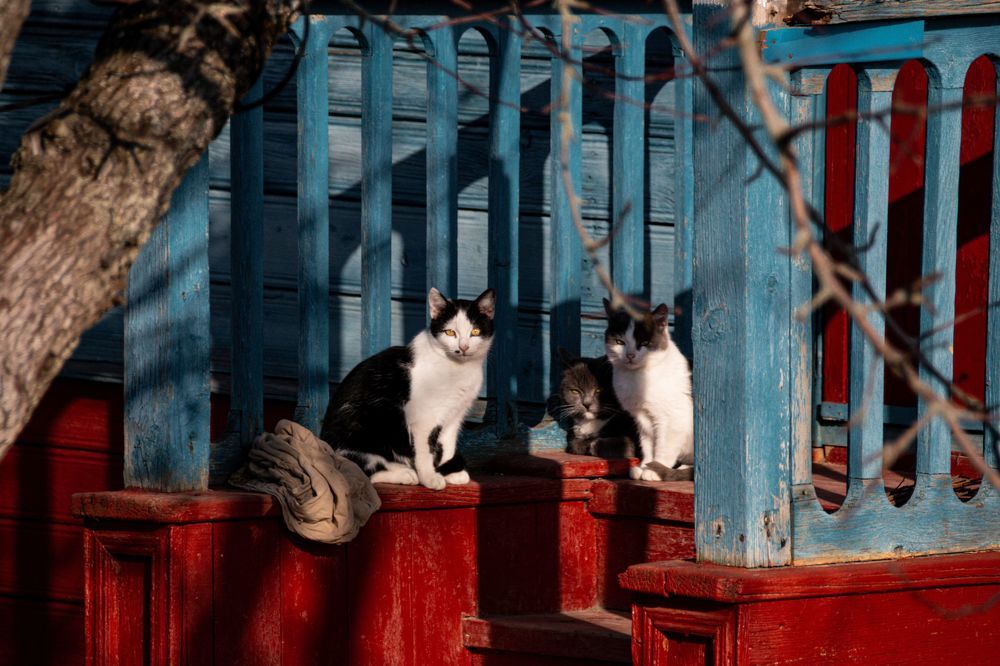 Photograph by Алена Евгеньевна