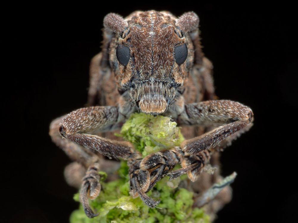 Photograph by KENNY FOONG