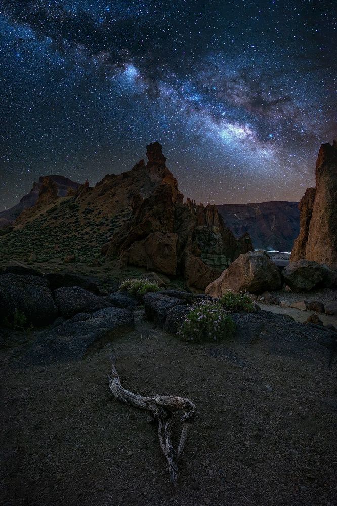 Photograph by Сергей Косов