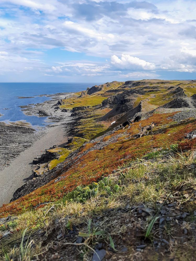 Photograph by Екатерина Афанасьева