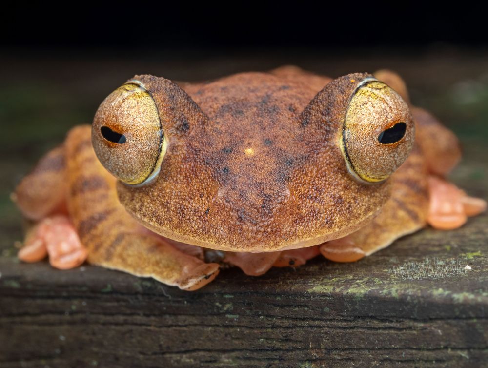 Photograph by KENNY FOONG