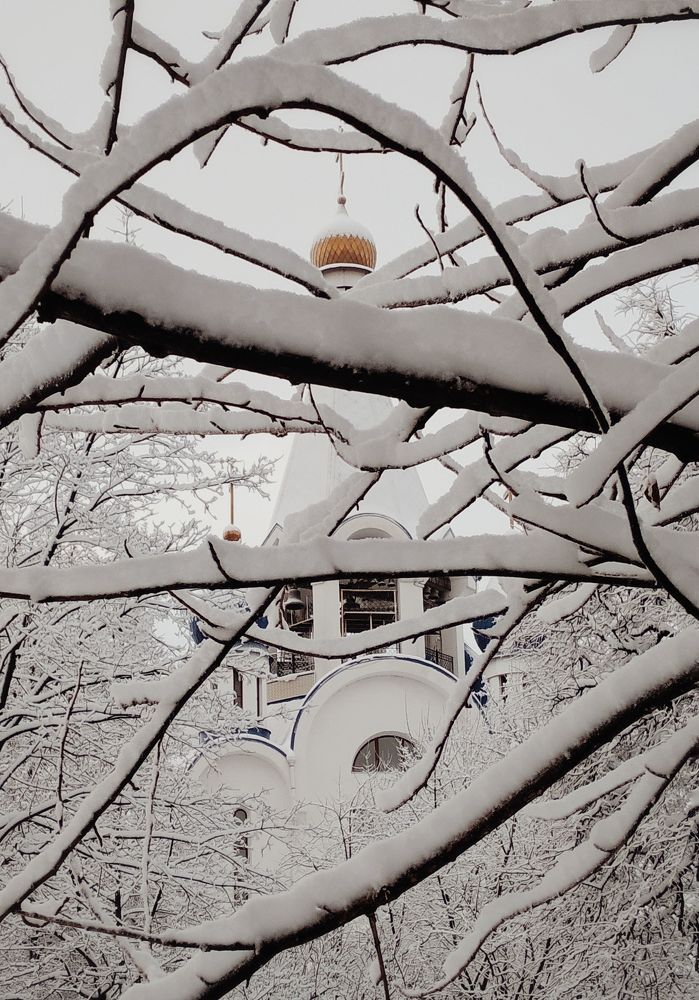 Photograph by Людмила М