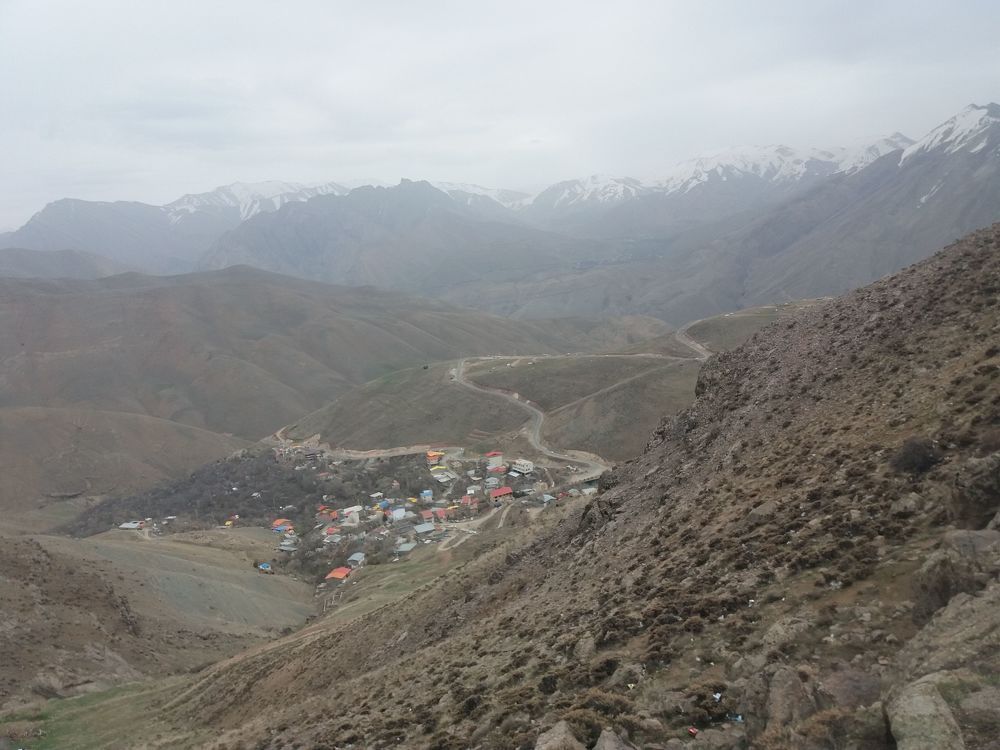 Photo #8970727