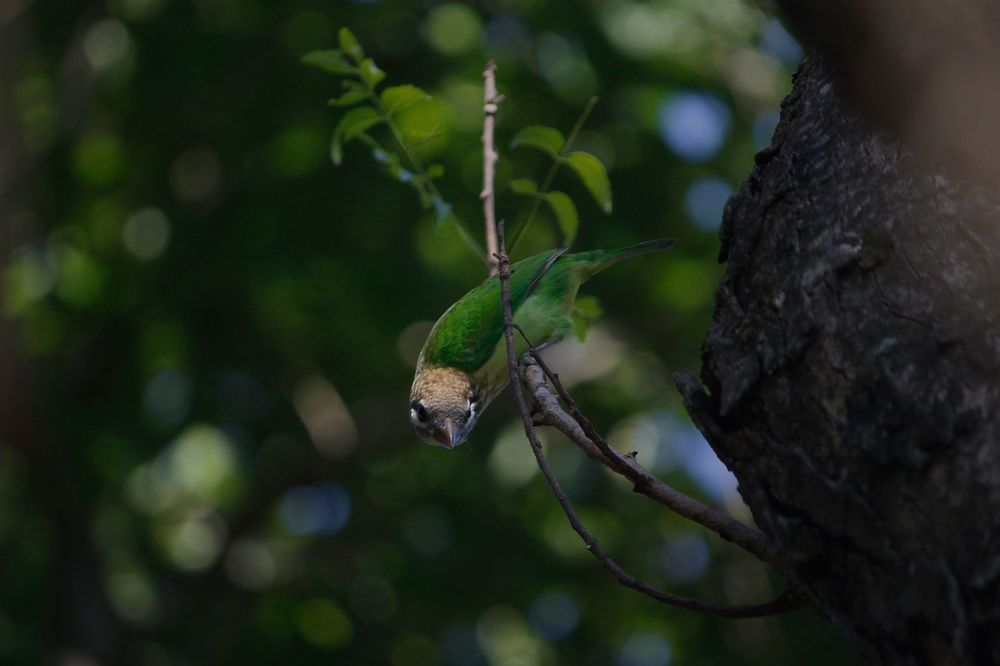 Photograph by Premalatha S