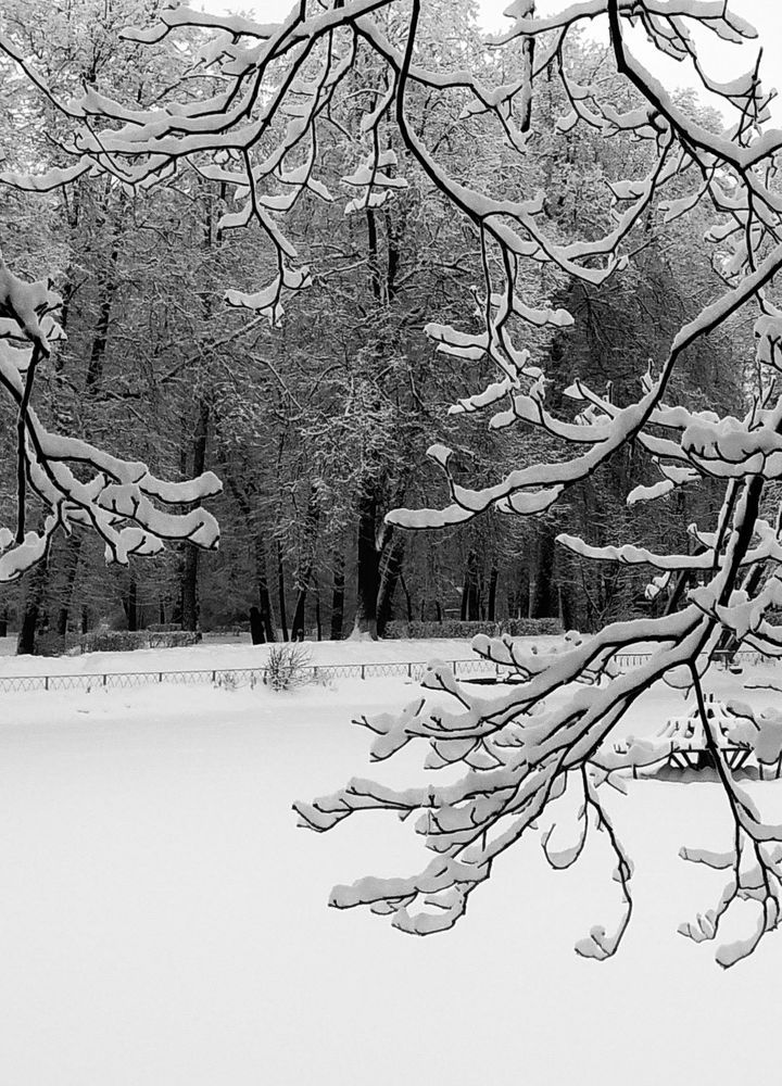 Photograph by Людмила М