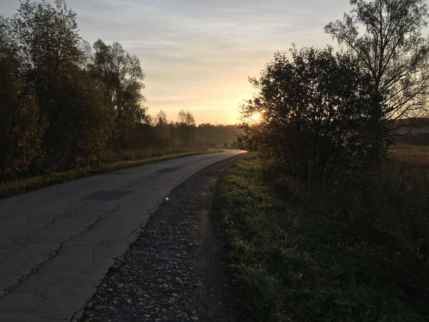 Photo #8970791