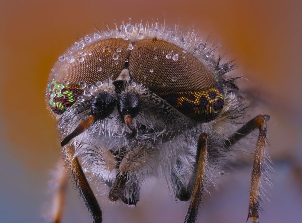 Photograph by Юрий Юрьевич