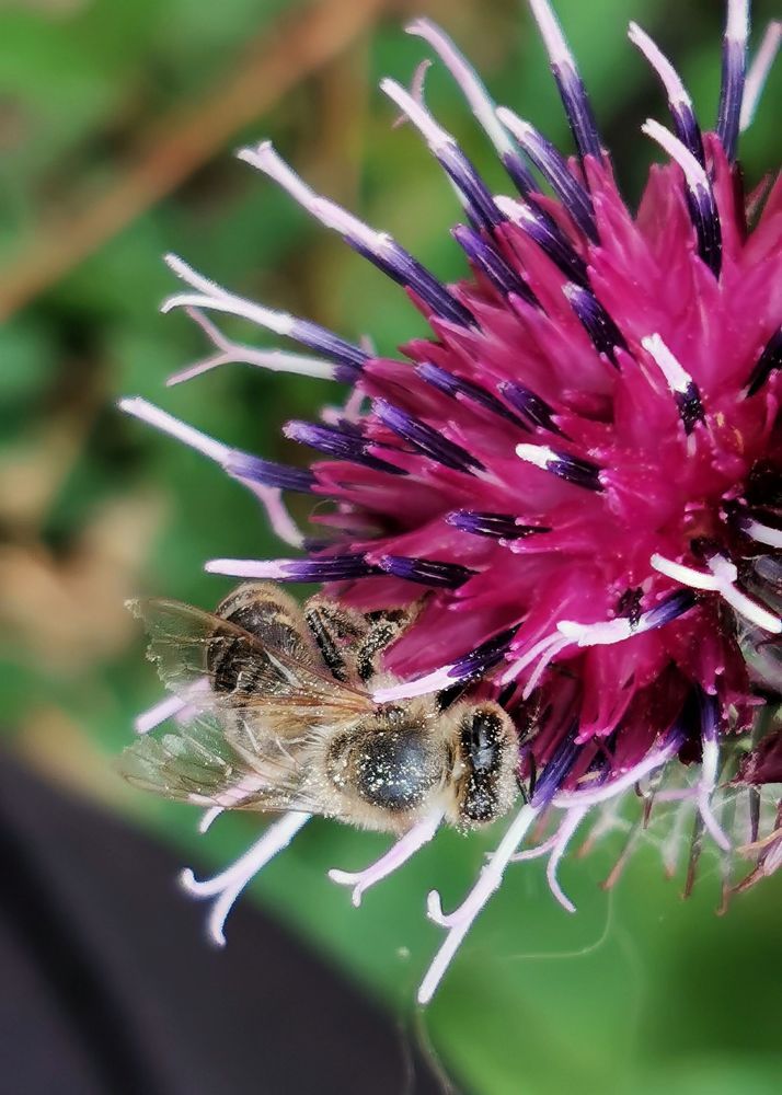 Photograph by Елена Акимова