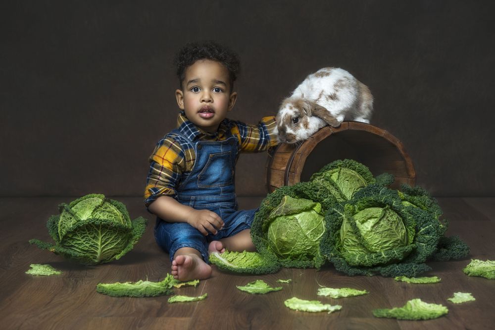 Photograph by Bögölyné Molnár Szilvia