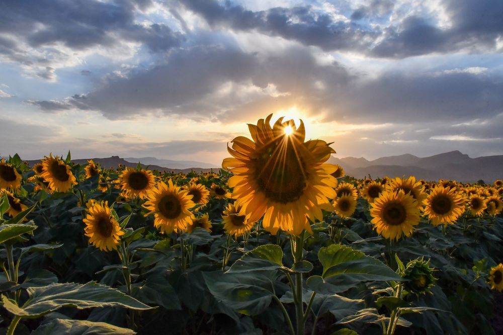 Photograph by ghasem baneshi