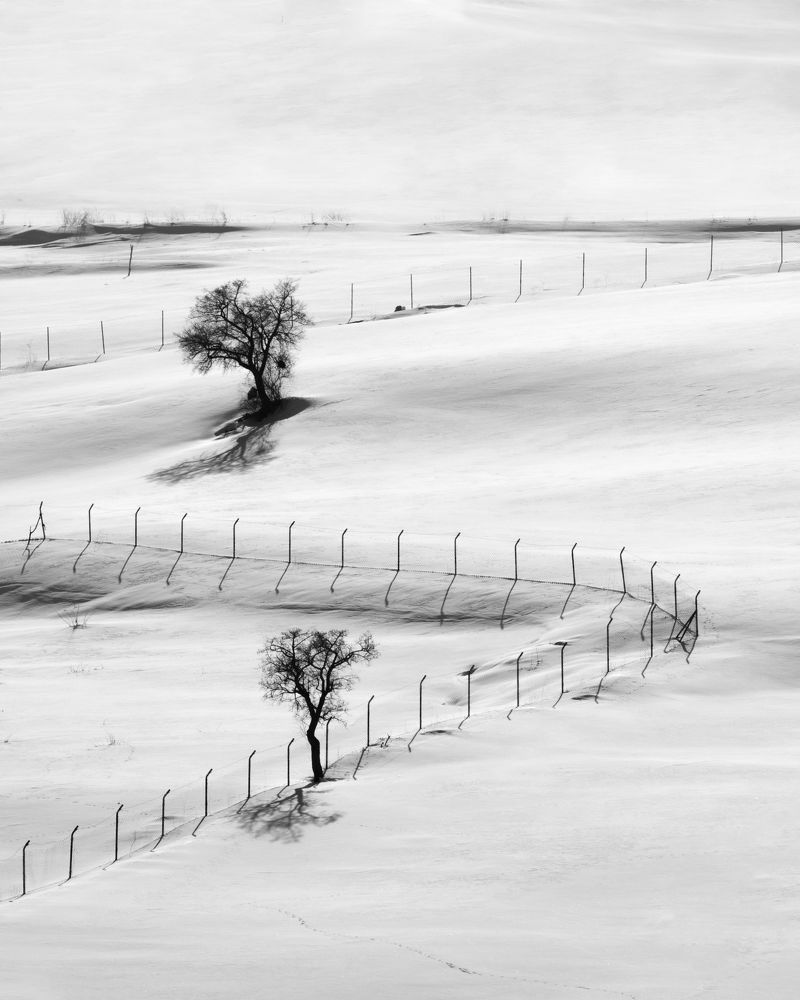 Фотография автора mohammad Alipour