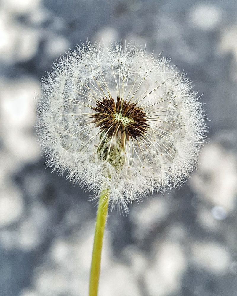 Photograph by Светлана Голик