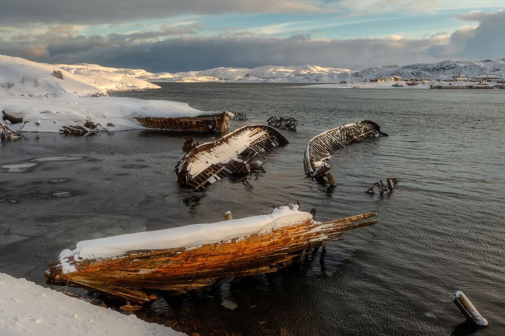 Фотография автора Александр Пашеничев