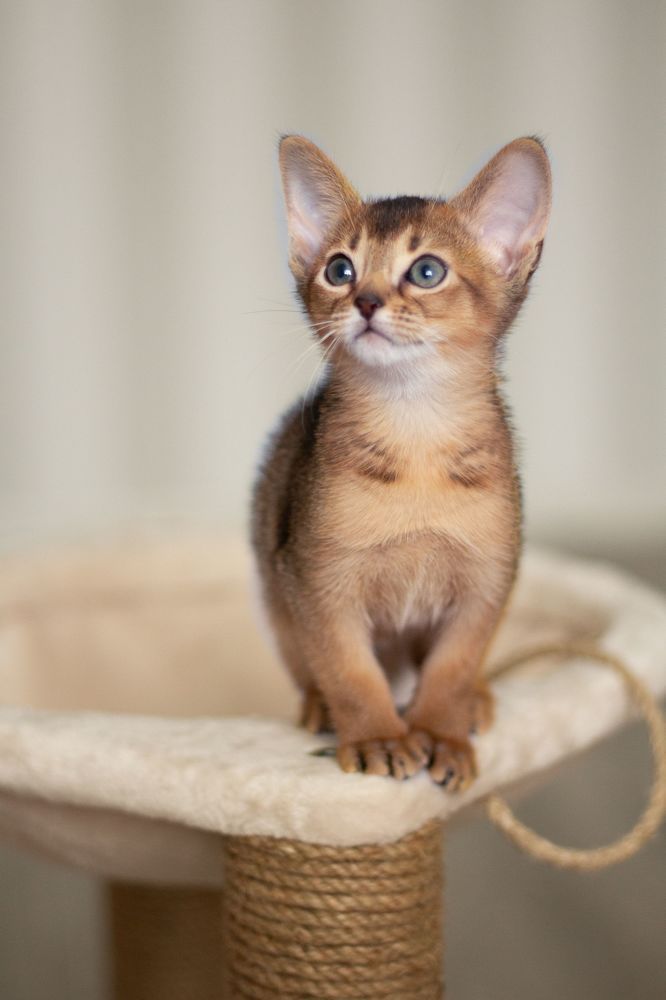 Photograph by Зоя Макарова