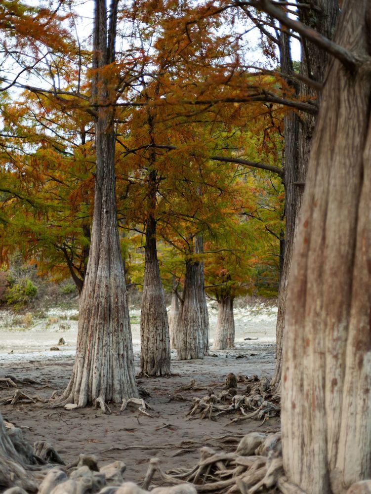 Photograph by Роман Красношапка