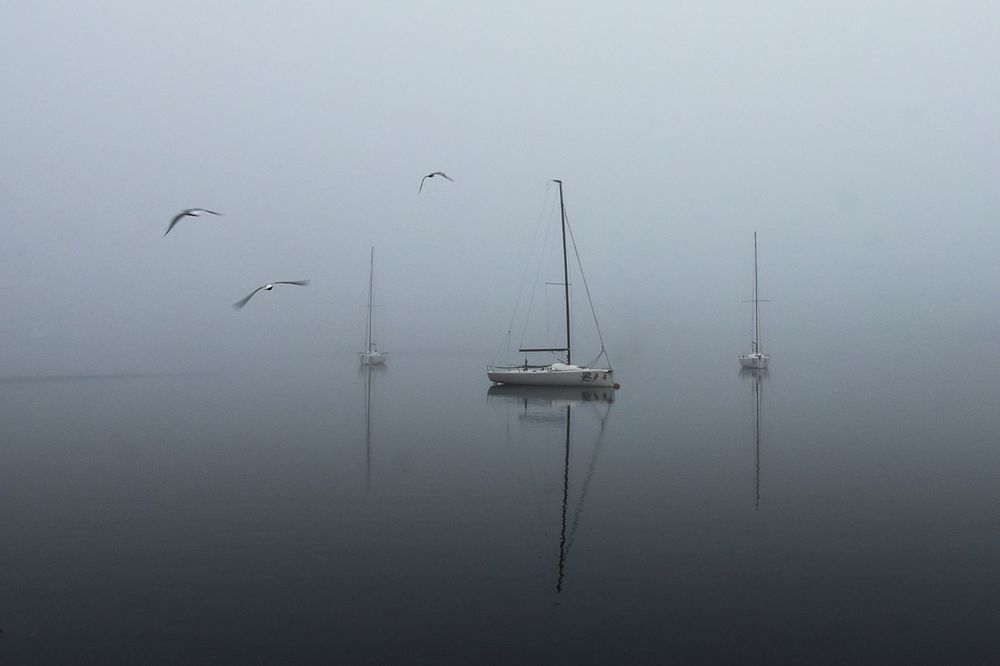 Photograph by Юлия Сергеева