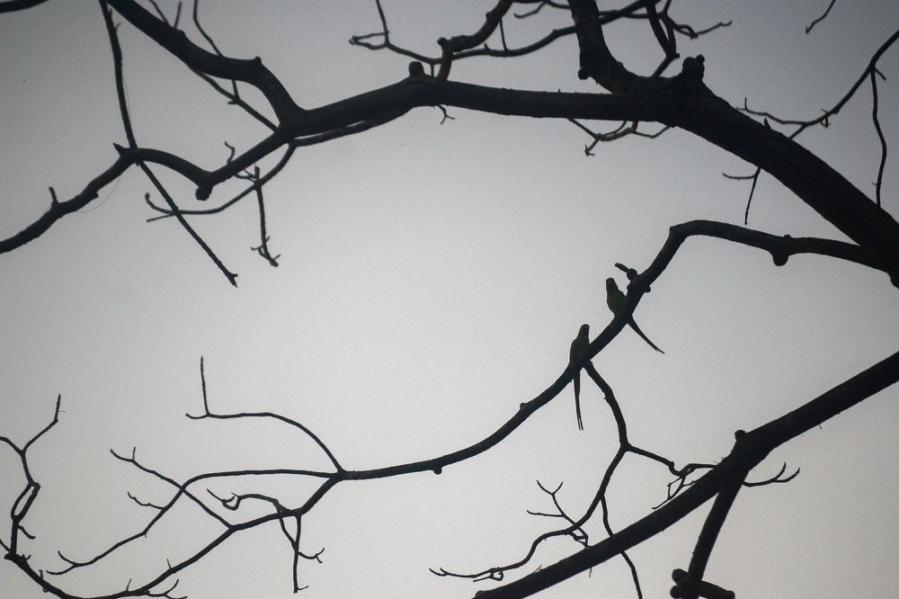 Photograph by Kasun Wickramasinghe