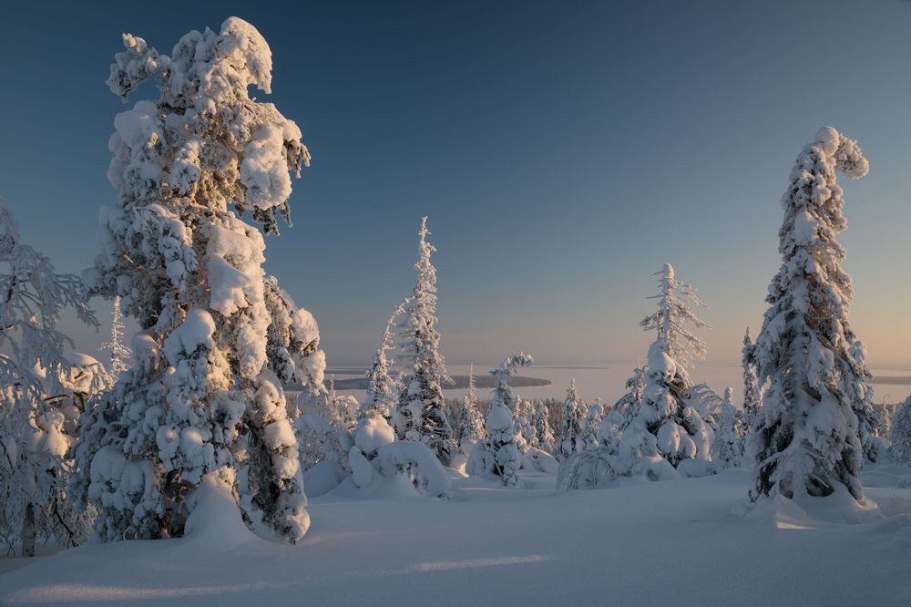 Photograph by Мария Казакова