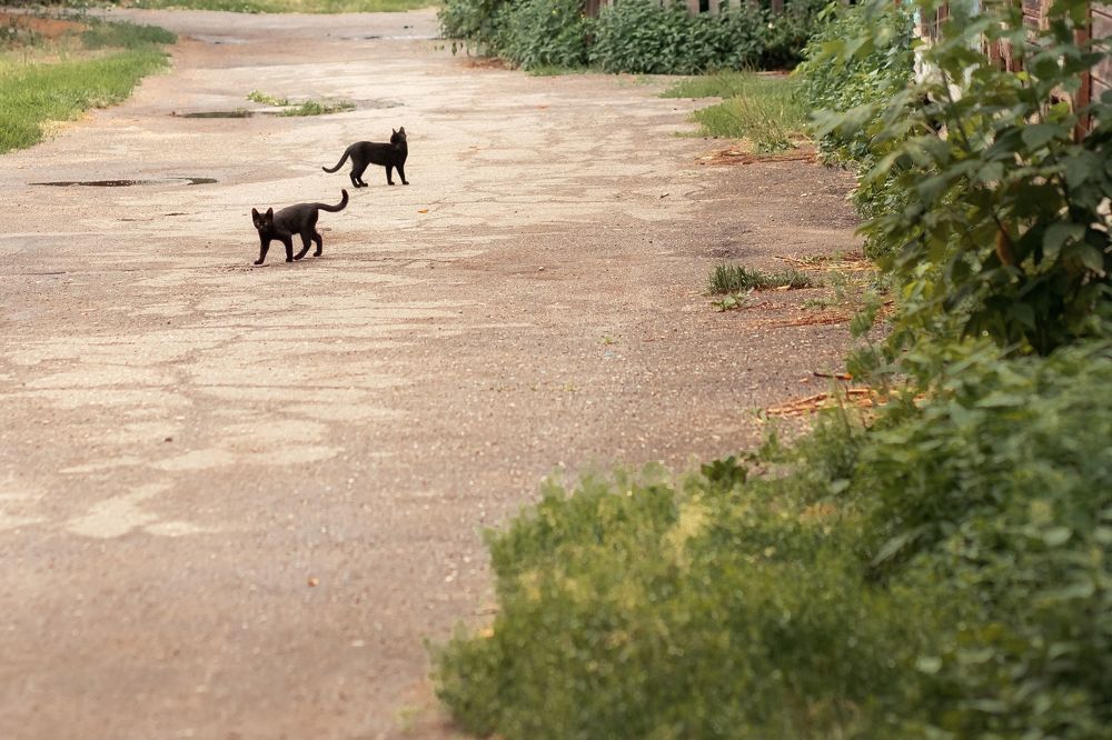 Photograph by Алла Аюпова