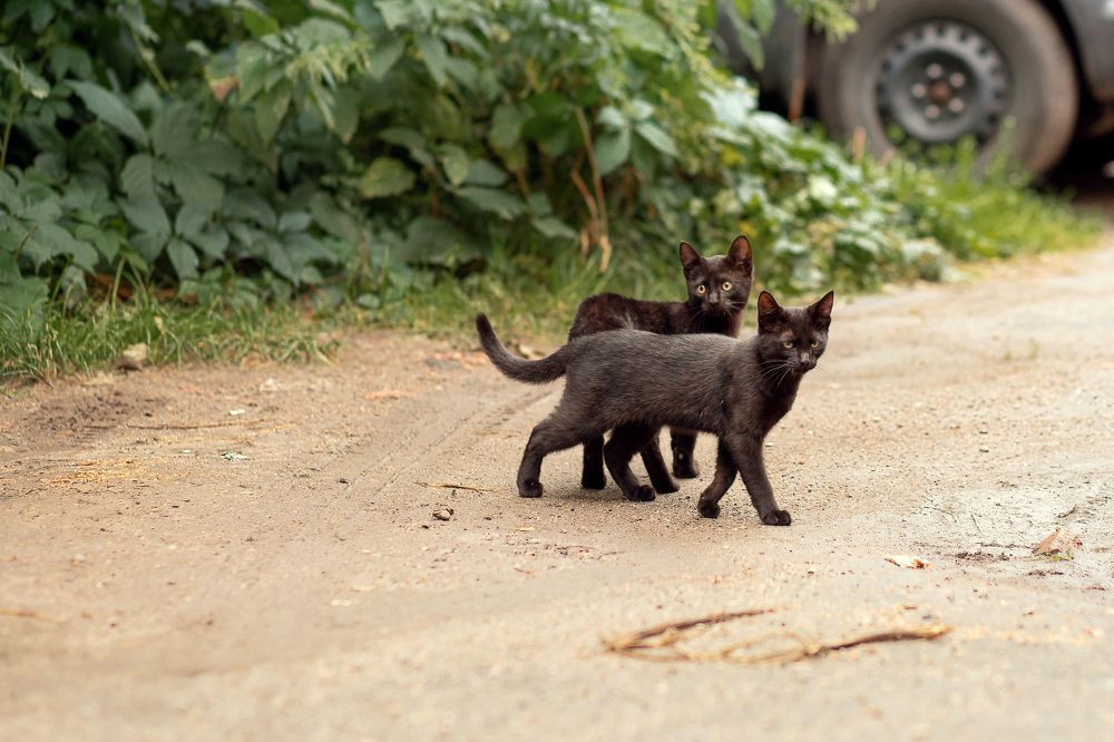 Photograph by Алла Аюпова