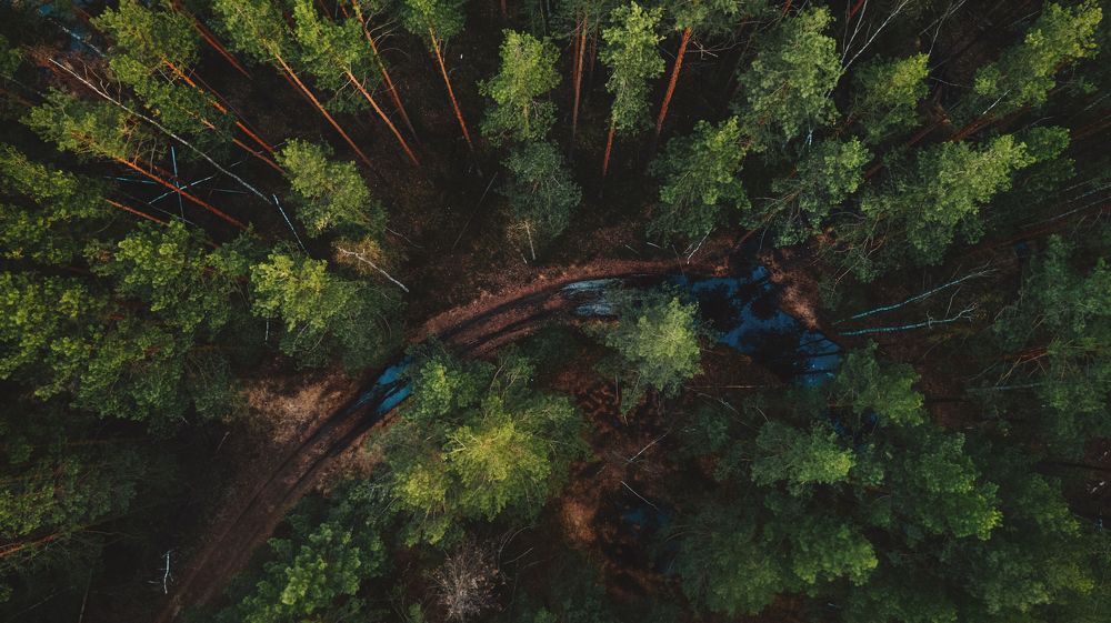 Photograph by Андрей Чураев