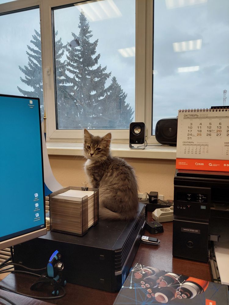 Главный работник