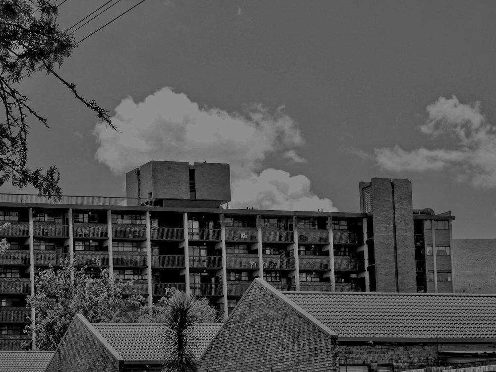 Photograph by Shannon