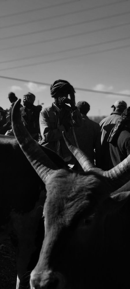 Photograph by amanuael amanuael