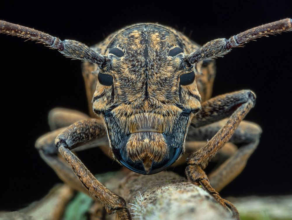 Photograph by KENNY FOONG