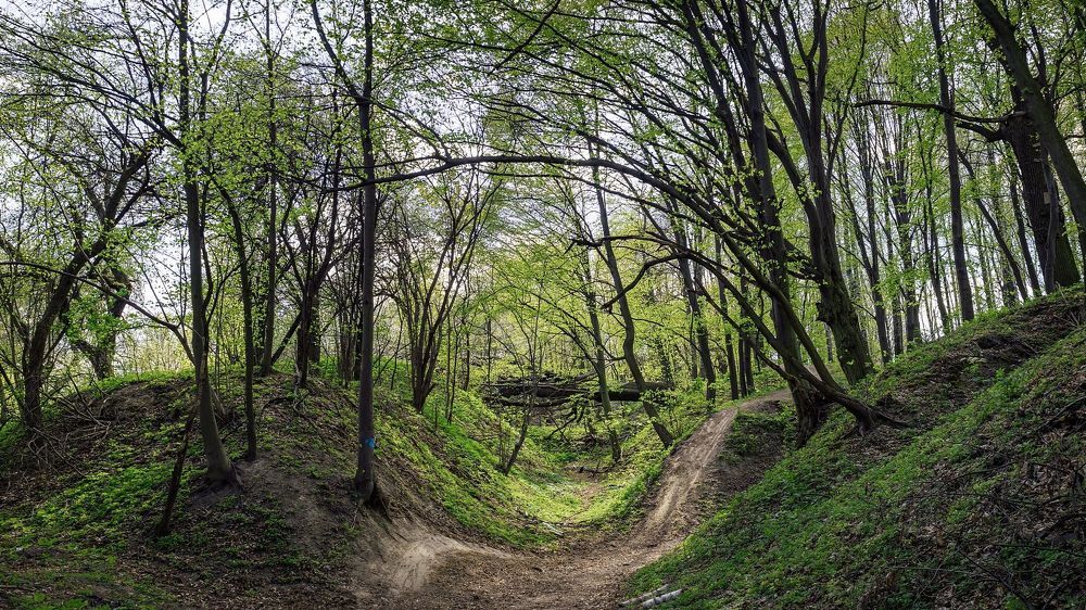 Photograph by Александр Кашков