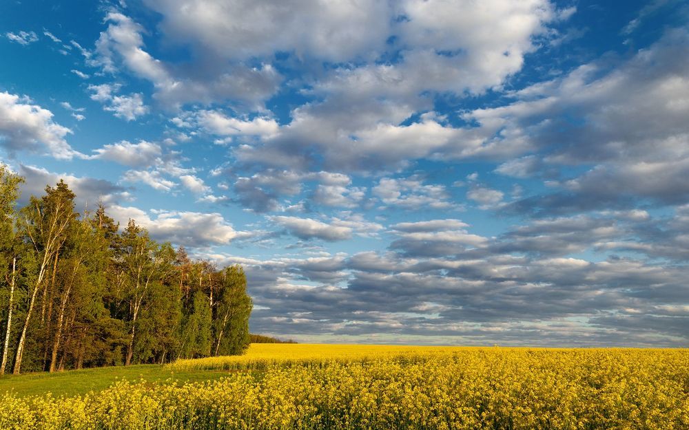 Photograph by Александр Кашков