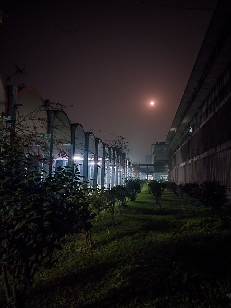 Photograph by Mehedi Hasan