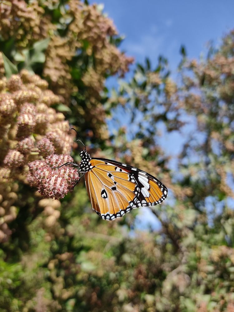 Photograph by Лариса Минбаева