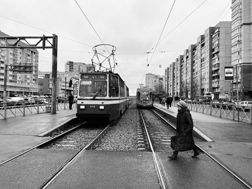 Photograph by Светлана Дегтярева