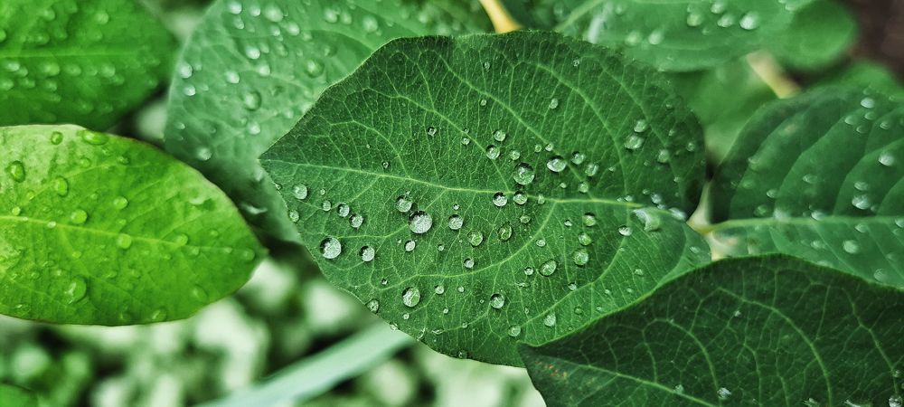 Photograph by Светлана Голик