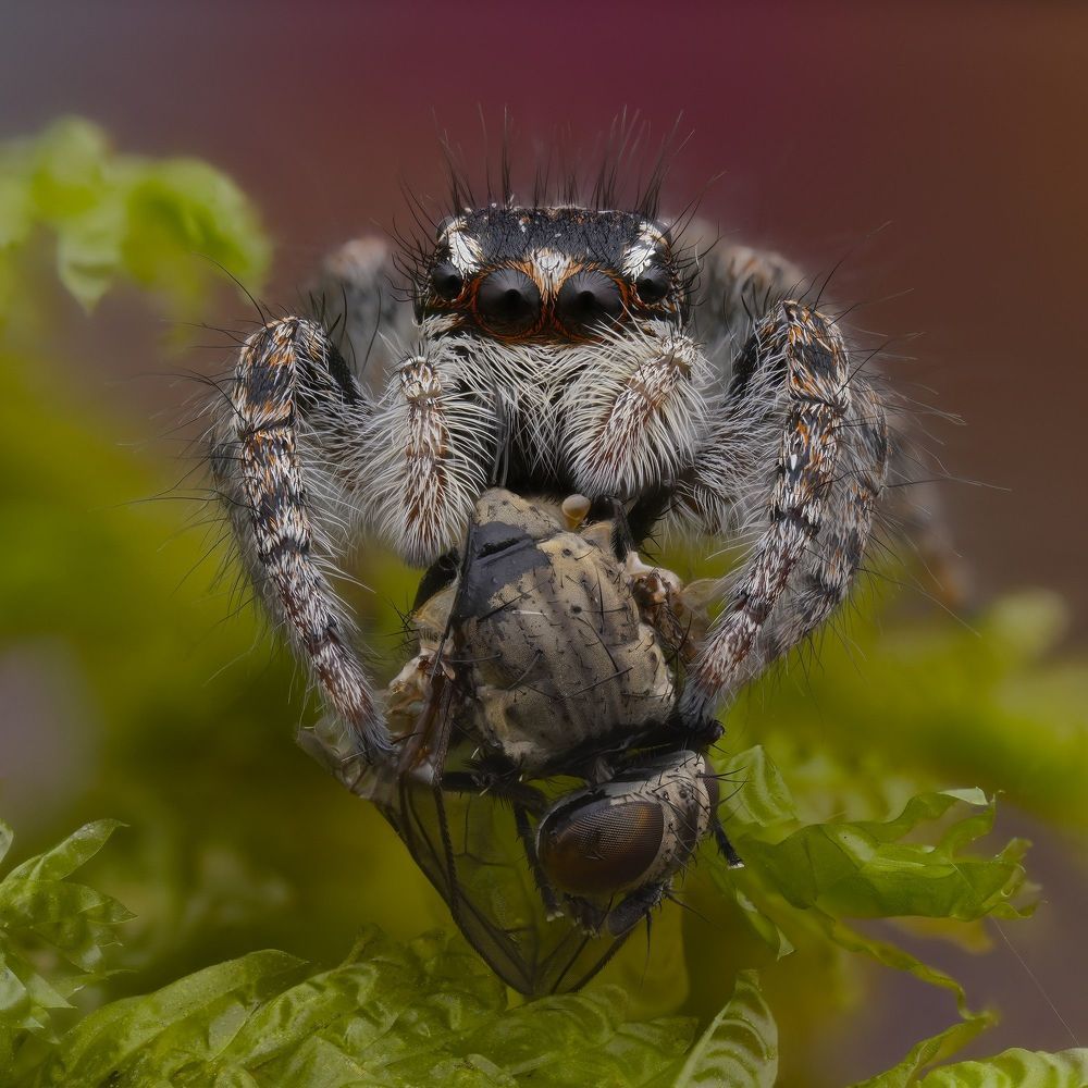 Photograph by Юрий Юрьевич