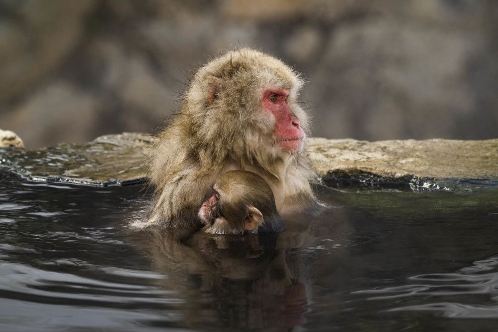 Photograph by Николай Мозгунов