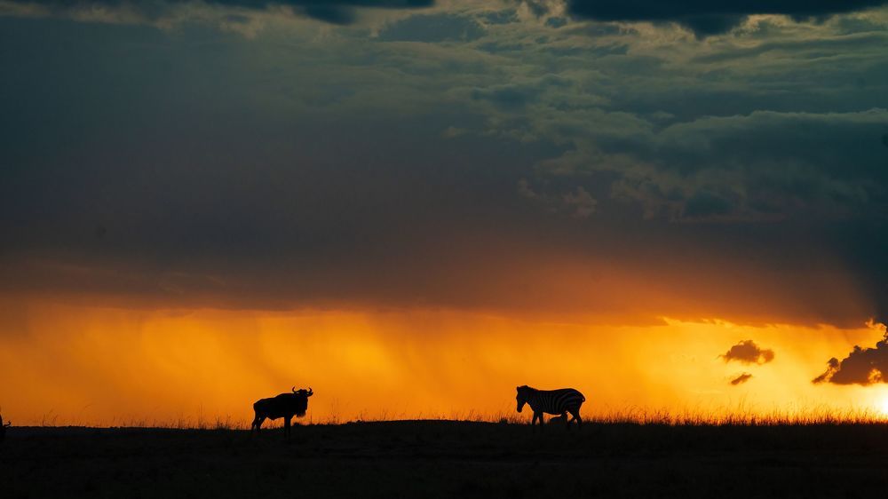 Photograph by Saurabh Dhanorkar