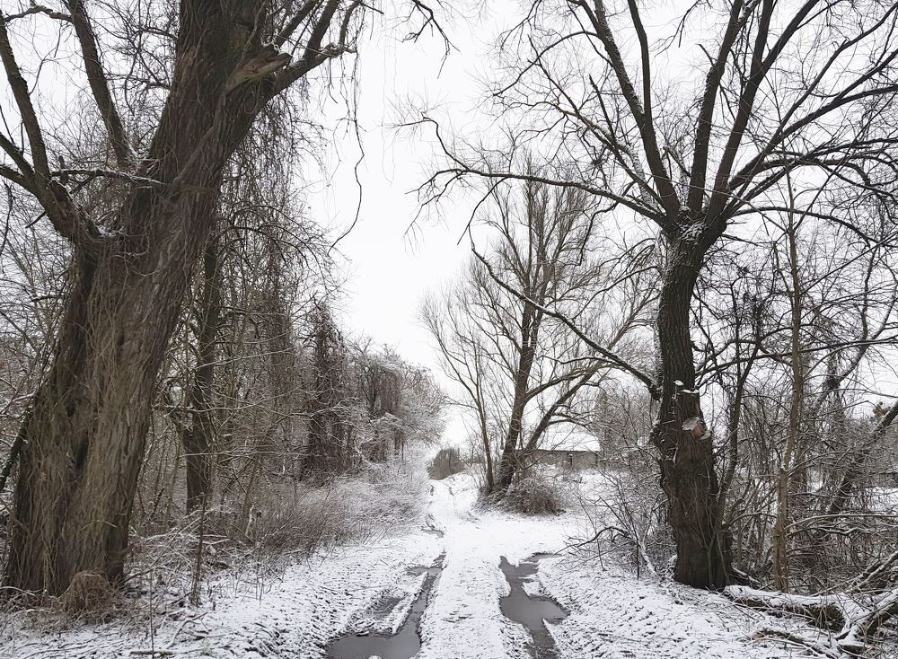 Photograph by Василий Раковец