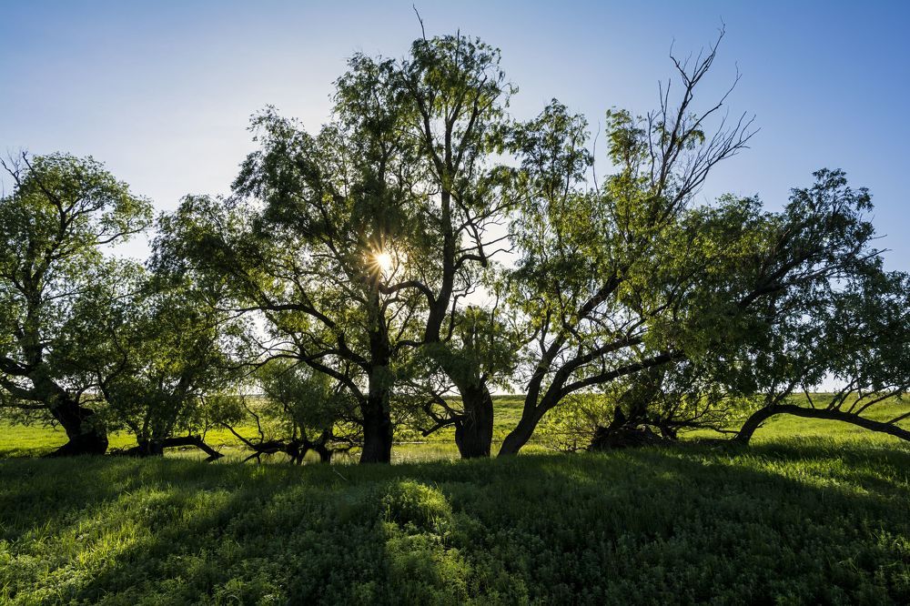 Photograph by Андрей Шарапов