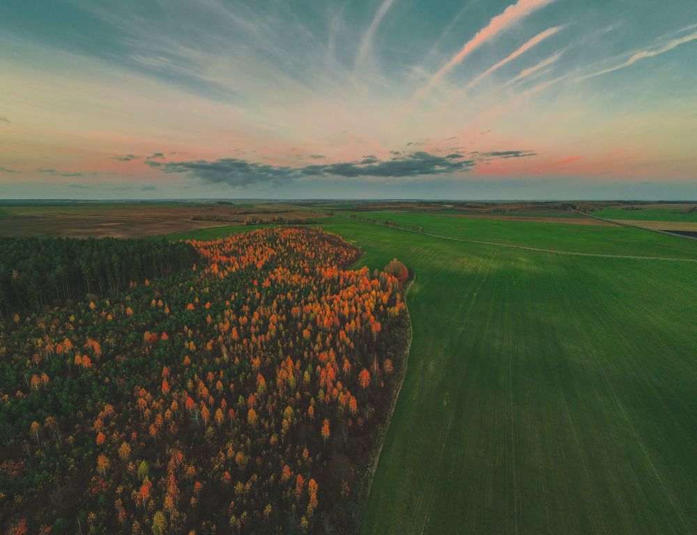 Photograph by Александр Гизун