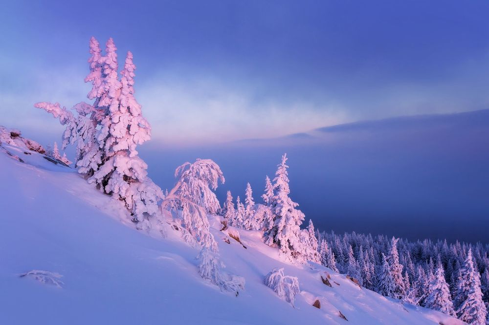 Фотография автора Vyacheslav Lozhkin