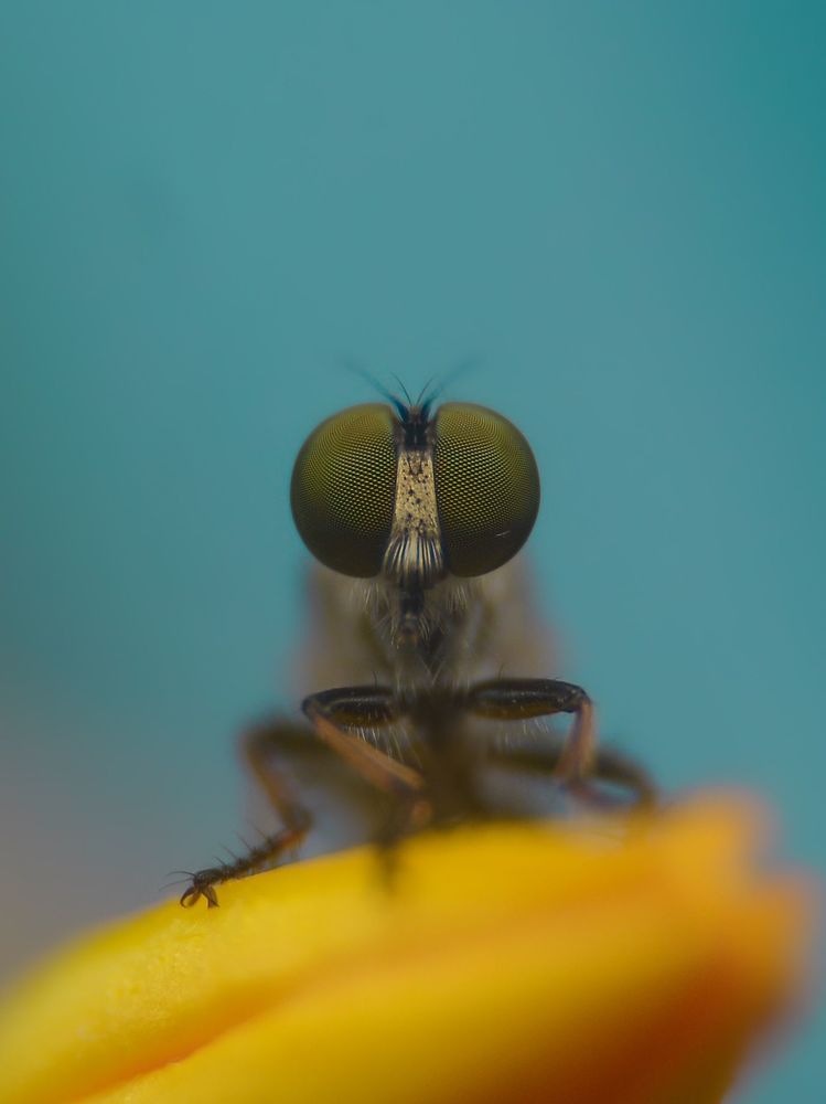 Photograph by Kasun Wickramasinghe