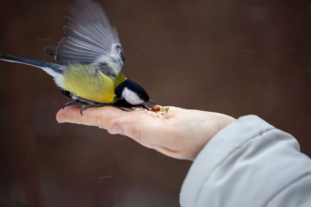 Photograph by Маргарита Дугалева