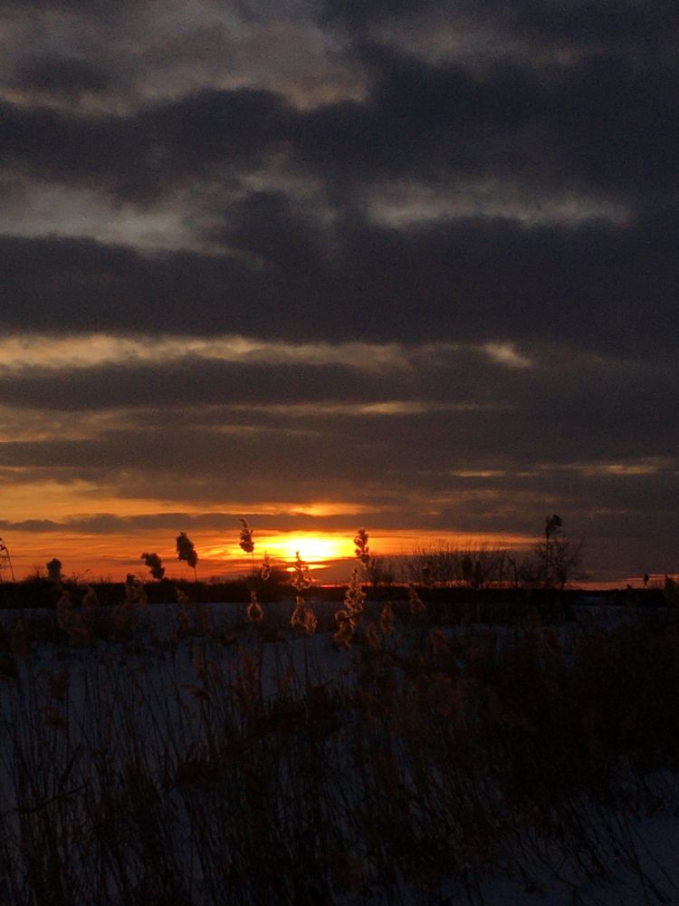 Photograph by Татьяна Шишляева