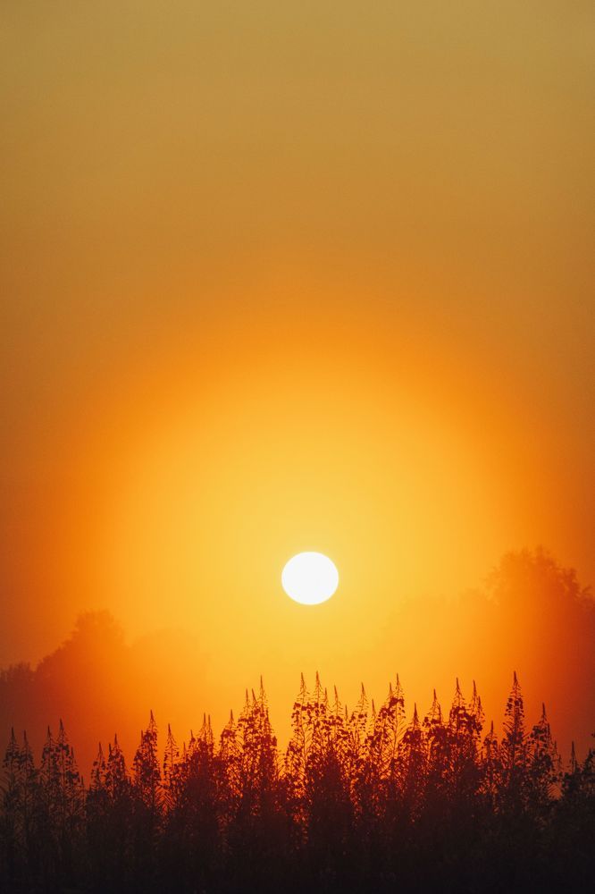 Photograph by Сергей