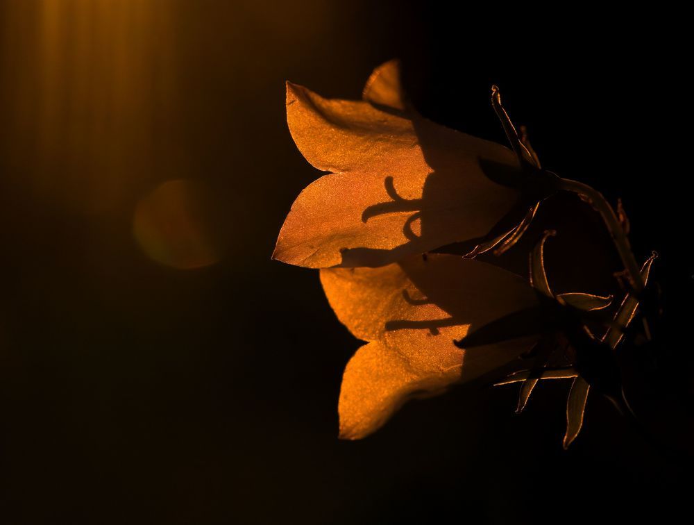 Photograph by Wojciech Sobiesiak