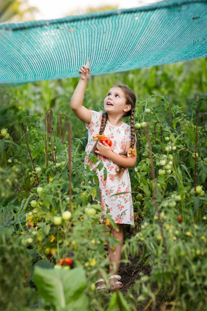 Фотография автора Lana Dee